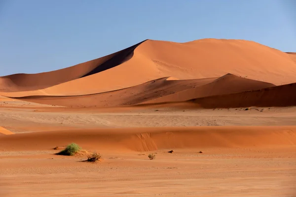 Gyönyörű Napfelkelte Táj Rejtett Dead Vlei Namib Sivatag Kilátás Tetején — Stock Fotó