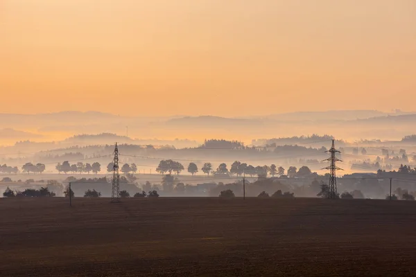 Paesaggio Appannato Con Una Silhouette Albero Una Nebbia All Alba — Foto Stock