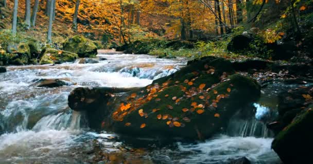 Montagne Rivière Sauvage Doubrava République Tchèque Vallée Dans Belles Couleurs — Video