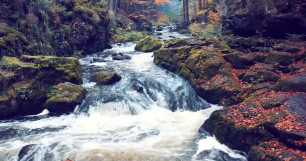 Berg Wilder Fluss Doubrava Der Tschechischen Republik Tal Wunderschönen Herbstfarben — Stockvideo