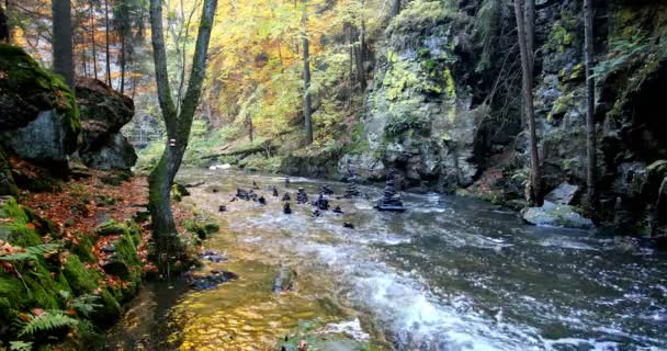 Гора Дика Річка Doubrava Чехії Долина Красиве Осінній Кольору Осені — стокове відео