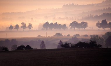 Misty ve Foggy yatay, bir ağaç siluet üzerinde bir sis, gündoğumu, Çek Cumhuriyeti