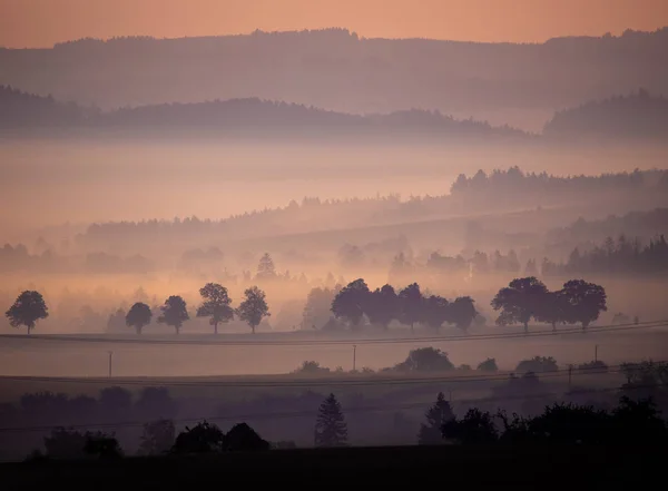 Туманный Туманный Пейзаж Силуэтом Деревьев Тумане Восходе Солнца Чехия — стоковое фото