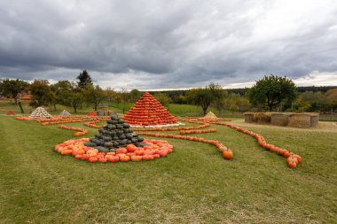 renk çeşitleri ile eğlenmek için düzenlenen sonbahar hasat kabak dan piramit. Cadılar Bayramı tatil kavramı kabak dünya üzerinde.