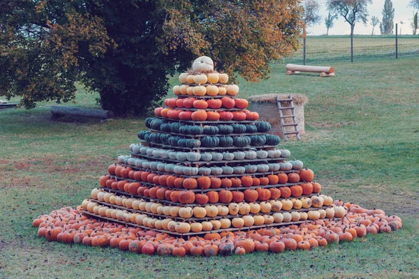 Pyramid Autumn Harvested Pumpkins Arranged Fun Color Variations Halloween Holiday — Stock Photo, Image