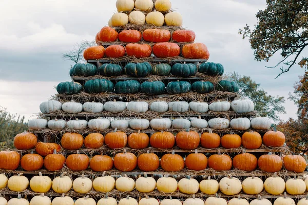 Piramide Van Herfst Geoogst Pompoenen Geregeld Voor Lol Met Kleurvariaties — Stockfoto