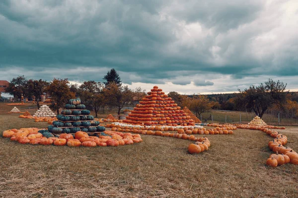 Pyramid Autumn Harvested Pumpkins Arranged Fun Color Variations Halloween Holiday — Stock Photo, Image
