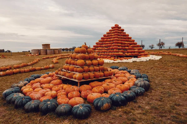 Pirámide Calabazas Cosechadas Otoño Dispuestas Para Diversión Con Variaciones Color —  Fotos de Stock