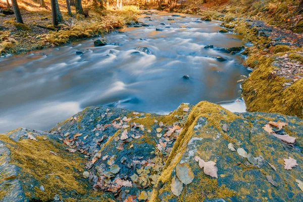 Wild Mountain River Doubrava Czech Republic Valley Beautiful Autumn Fall — Stock Photo, Image