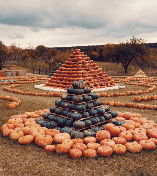 Pyramid Autumn Harvested Pumpkins Arranged Fun Color Variations Halloween Holiday — Stock Photo, Image