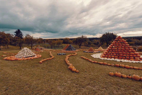 Piramis Őszi Betakarított Sütőtök Elintézte Móka Színes Változatok Halloween Tök — Stock Fotó