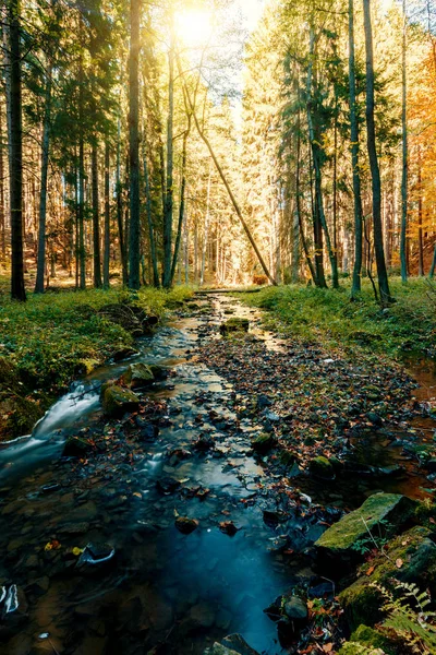 Rio Montanha Selvagem Doubrava Czech Republic Valley Belas Cores Outono — Fotografia de Stock