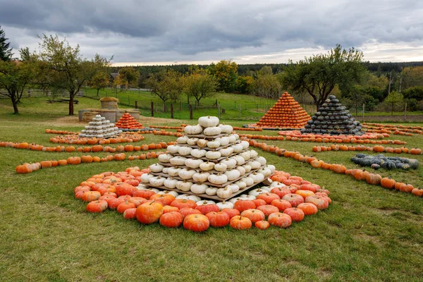 Piramis Őszi Betakarított Sütőtök Elintézte Móka Színes Változatok Halloween Tök — Stock Fotó