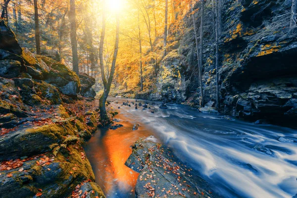 Divoká Horská Řeka Doubrava České Republice Údolí Krásné Podzimní Podzimních — Stock fotografie