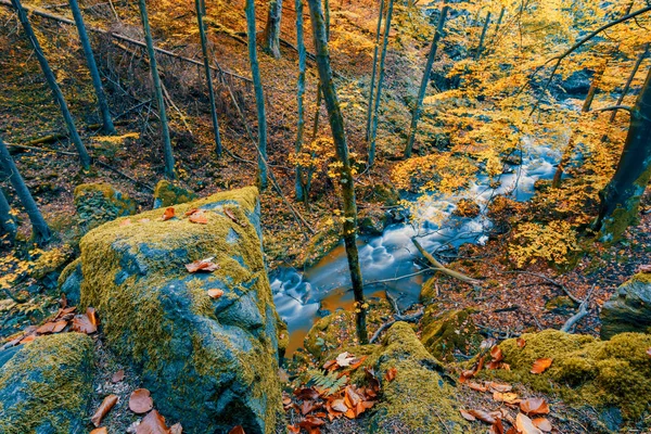 Sungai Doubrava Pegunungan Liar Lembah Republik Ceko Dengan Warna Musim — Stok Foto