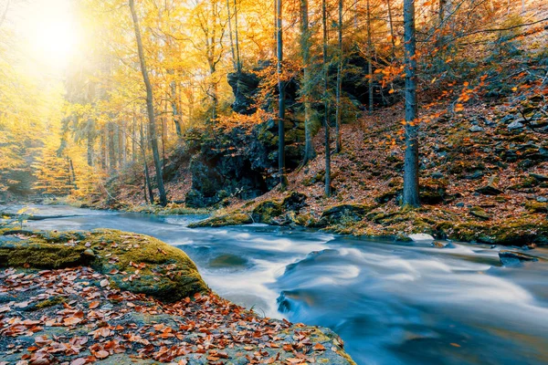 Vahşi Dağ Nehir Doubrava Çek Cumhuriyeti Valley Güzel Sonbahar Sonbahar — Stok fotoğraf