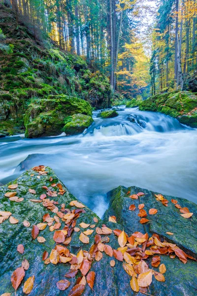 野生の山川もリトヴェルスケー チェコ共和国谷の美しい秋の紅葉を楽しむ 美しい風景 — ストック写真