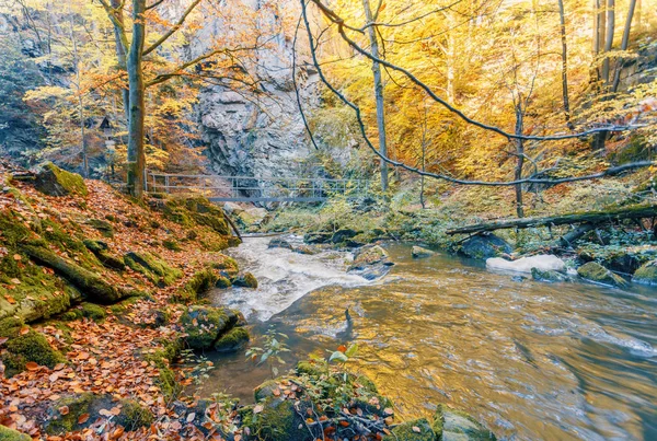 Río Montaña Salvaje Doubrava Valle República Checa Hermosos Colores Otoño — Foto de Stock
