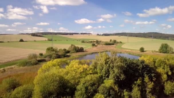 Красивий осінній пейзаж з маленьким ставком — стокове відео