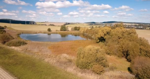 Mooie herfst landschap met kleine vijver — Stockvideo