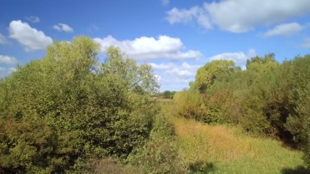 Осенний пейзаж с небольшим прудом — стоковое видео