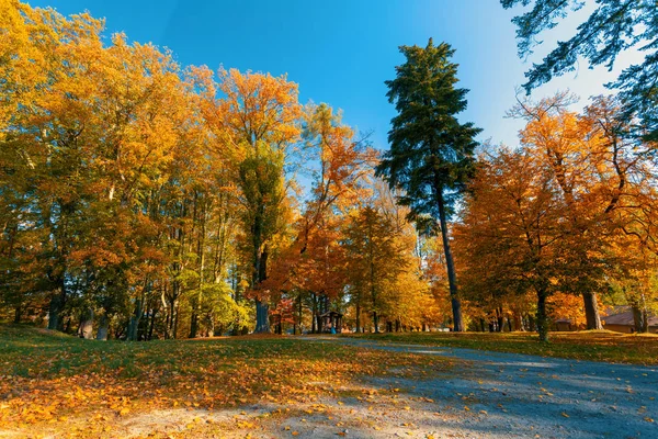 Mooie Romantische Val Gekleurde Park Met Kleurrijke Bomen Zonlicht Herfst — Stockfoto