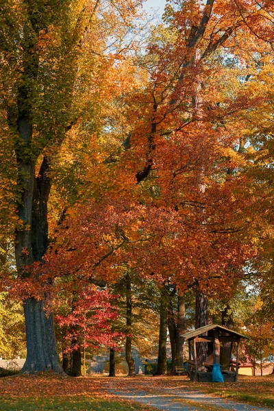 Mooie Romantische Val Gekleurde Park Met Kleurrijke Bomen Zonlicht Herfst — Stockfoto