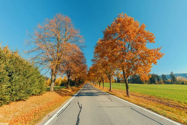 Schöne Und Romantische Herbst Farbige Straße Als Allee Mit Bunten — Stockfoto