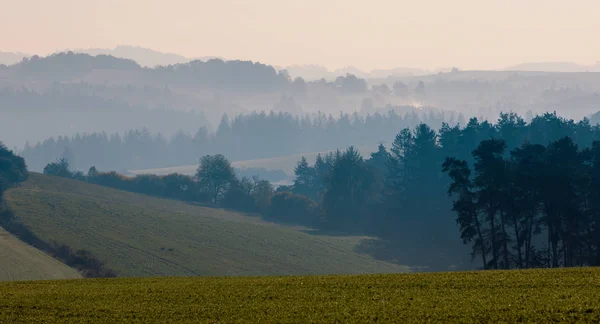 Misty Foggy Krajobraz Sylwetka Drzewa Mgła Wschodzie Słońca Republika Czeska — Zdjęcie stockowe