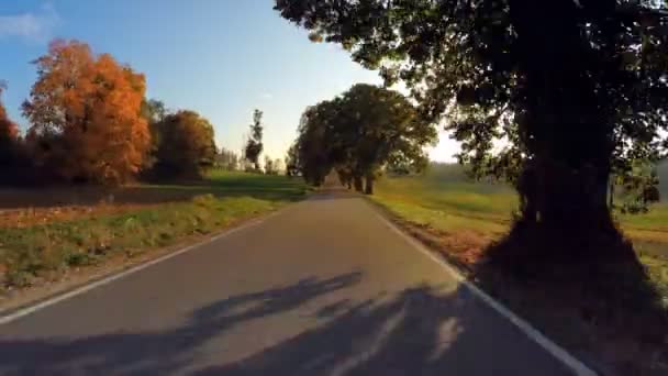 秋の風景の中の車の運転色の木々と晴れた日の青空 田舎道だ 秋のコンセプト — ストック動画