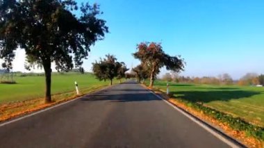 Sonbahar manzarasında araba sürüyor. Sonbahar ağaçları ve güneşli bir günde mavi gökyüzü. Kırsal yol. Sonbahar kavramı