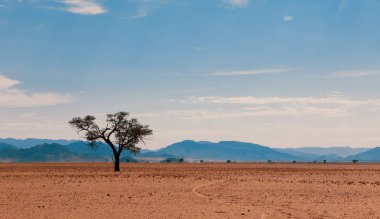 Fantastik merkez Namibya çöl manzarası, geleneksel Afrika manzarası