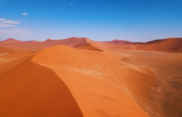 Duin Sossusvlei Namibië Woestijn Met Dode Acaciaboom Namibië Wildernis — Stockfoto