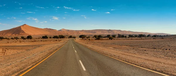 Camino Asfalto Vacío Sin Fin Fantástico Paisaje Del Desierto Namibia — Foto de Stock