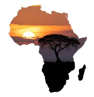 Tipik Afrika manzarası, Afrika kıtasındaki ovalardaki büyük akasya ağacının silueti, Afrika vahşi yaşamı ve vahşi doğanın günbatımı konsepti.