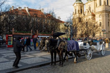 Prague, Çek Cumhuriyeti - 9 Aralık 2017: beyaz at at arabası bekliyor turistler üzerinde Noel Eski Şehir Meydanı, Prag, Çek Cumhuriyeti., 9 Aralık 2017 hitched Prag, Çek Cumhuriyeti.