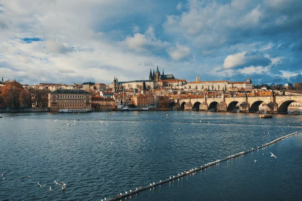 Vitus Katedrali Prag Şatosu Vltava Nehri Nin Öncü Noel Zamanı — Stok fotoğraf