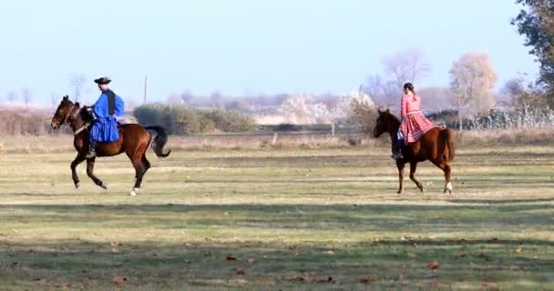 Hortogagia Hungria Novembro 2018 Csikos Húngaro Traje Popular Tradicional Montado — Vídeo de Stock