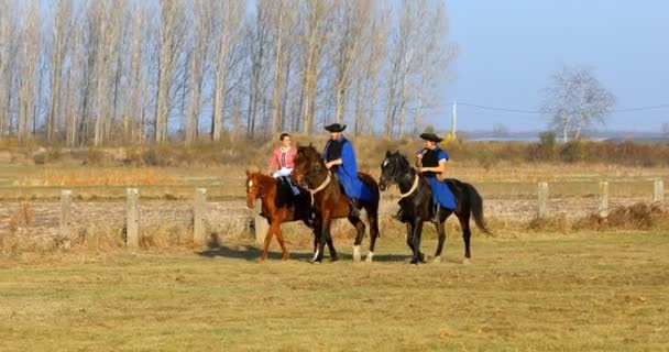 霍托加吉 匈牙利 11月 2018年 匈牙利 Csikos 在传统的民间服装 匈牙利骑马牧民 Csikos 的传统与匈牙利 — 图库视频影像