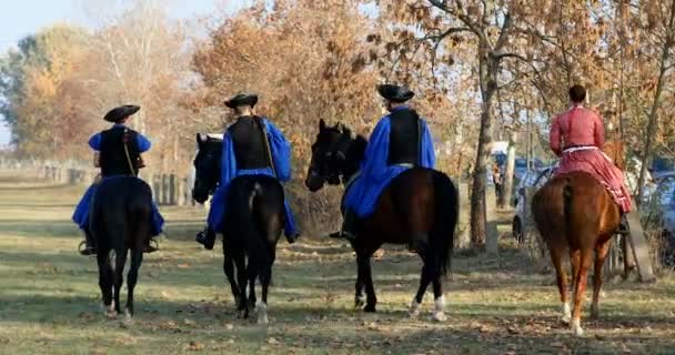 Hortogagia Hungría Noviembre 2018 Csikos Húngaro Traje Popular Tradicional Caballo — Vídeo de stock
