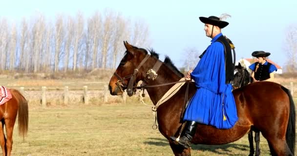 Hortogagia Hungria Novembro 2018 Csikos Húngaro Traje Popular Tradicional Montado — Vídeo de Stock