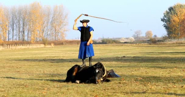 Hortogagy Hongarije November 2018 Hongaarse Csikos Traditionele Folk Kostuum Bereden — Stockvideo