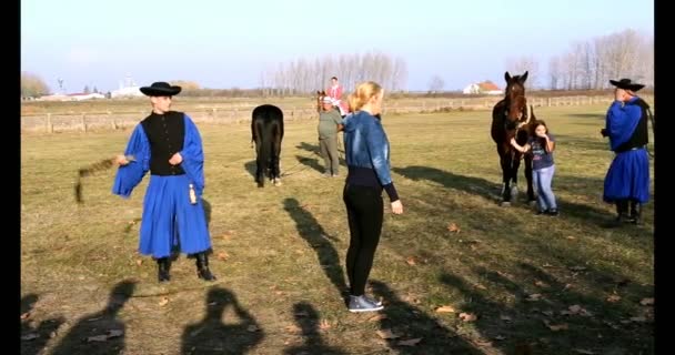 Hortogagia Hungría Noviembre 2018 Csikos Húngaro Traje Popular Tradicional Caballo — Vídeos de Stock