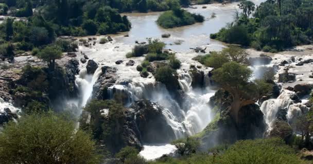 Chutes d'Epupa sur la rivière Kunene en Namibie — Video