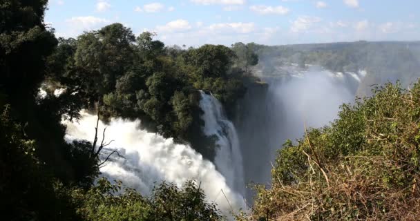 Victoria Şelalesi, Zimbabwe, Afrika — Stok video