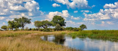 Tipik Afrika yatay, Milli Parkı Bwabwata üzerinde Caprivi Strip, Namibya vahşi vahşi nehir