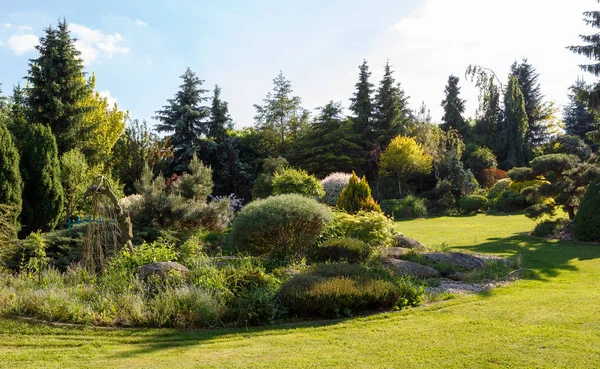 Prachtige Lentetuin Met Sierconiferen Kleine Tuinvijver Met Brug Groenblijvende Tuinconcept — Stockfoto