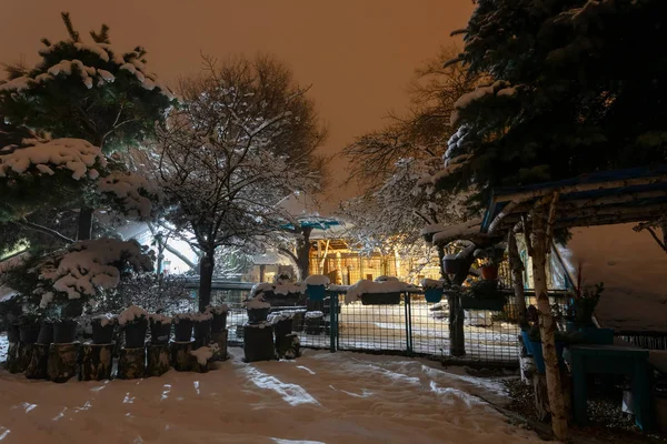 Hermosa Noche Invierno Jardín Con Árboles Cubiertos Nieve Bancos —  Fotos de Stock