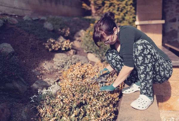 Mujer de mediana edad jardinero en el jardín de primavera — Foto de Stock