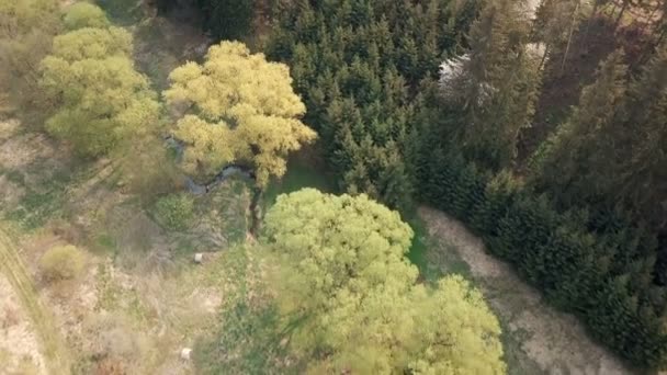 Повітряний вид на європейський весняний пейзаж — стокове відео